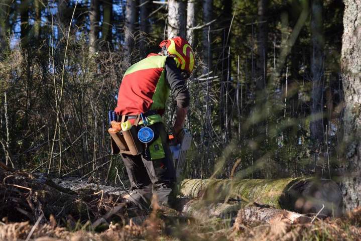 Bois de chauffage Épinal